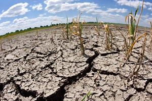 El nino sẽ tái xuất và ảnh hưởng tới Việt Nam từ nửa cuối năm nay.